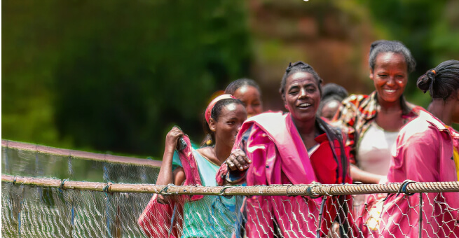 Newsletter December 2025