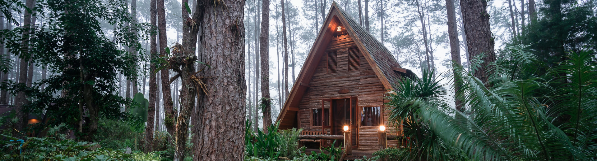 Wildfire Mitigation in Mountains Using Pine-Based Bio-Composite in India