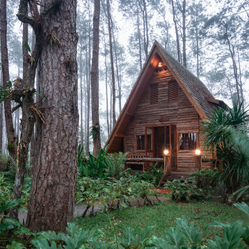 Wildfire Mitigation in Mountains Using Pine-Based Bio-Composite in India