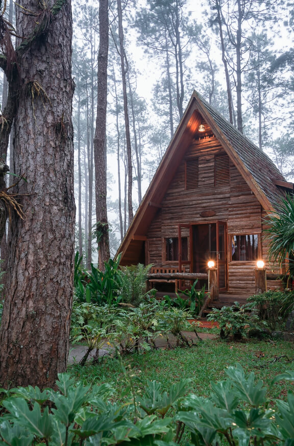 Wildfire Mitigation in Mountains Using Pine-Based Bio-Composite in India