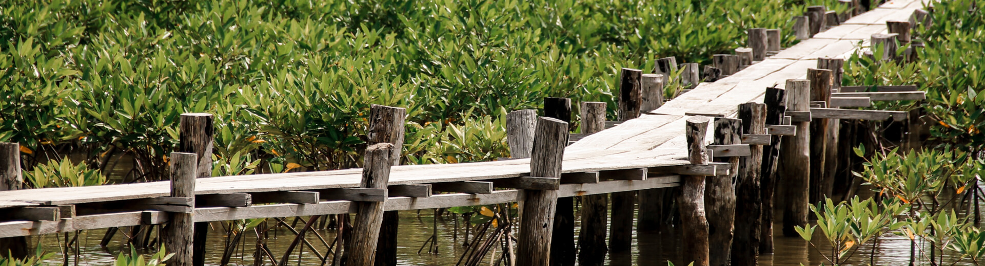 Asia-Fellowship-Japan-Keisuke