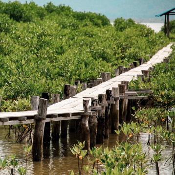 Asia-Fellowship-Japan-Keisuke