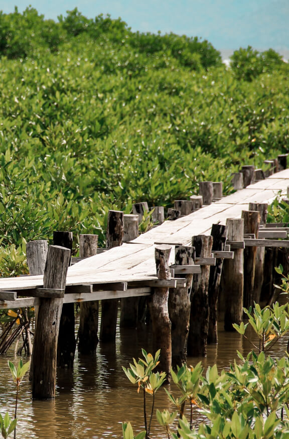 Asia-Fellowship-Japan-Keisuke