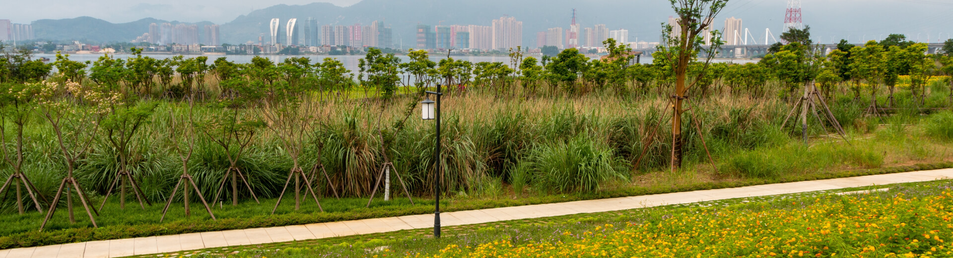 Asia-Fellowship-Nepal