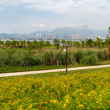 Asia-Fellowship-Nepal