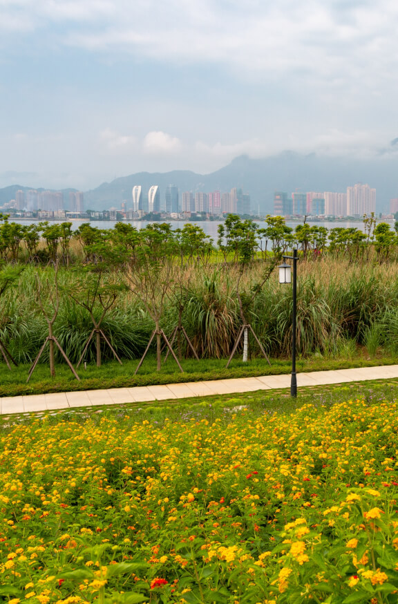 Asia-Fellowship-Nepal