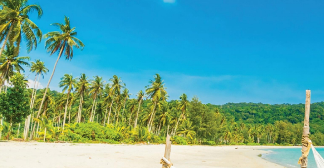 building-fiscal-resilience