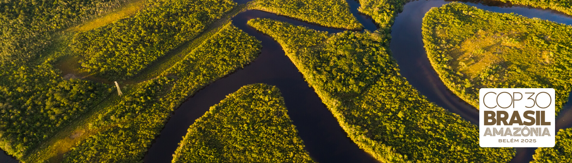 Conference of the Parties - COP 30