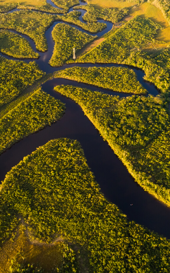 Conference of the Parties - COP 30