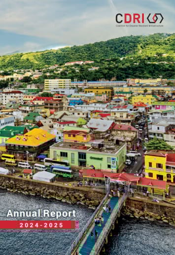 Cdri – Annual Report 2024 – 2025 355 By 522 –