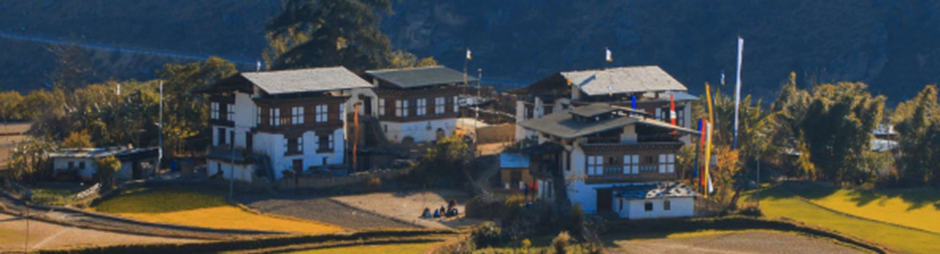 Cdri – Bhutan National Plan For Infra Res – 1920 By 520 –