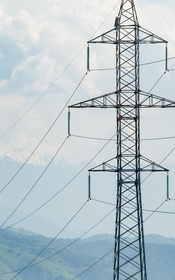 Cdri – Cop29 – (576 X 874) 1 –