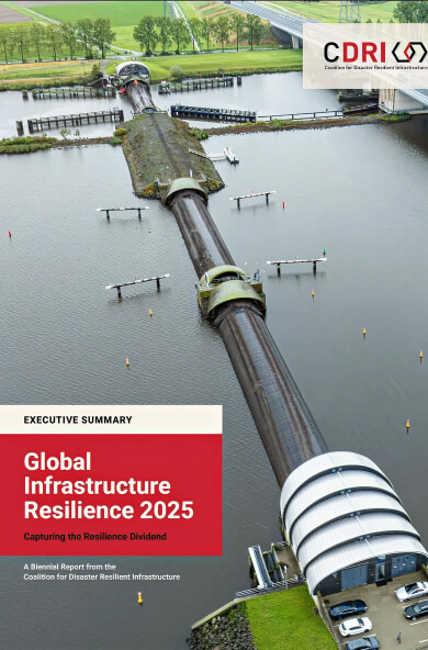 GIR 2025 Executive Summary