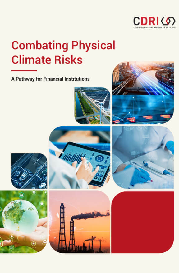 Cdri – Resource Combating Physical Climate Risks (576X874) –