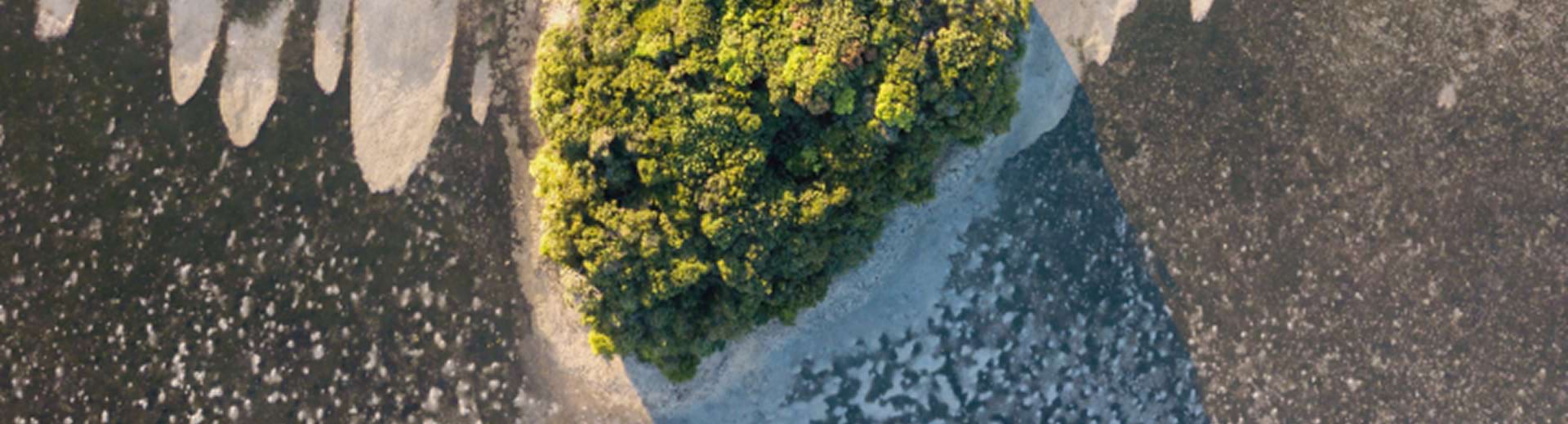 Cdri – Undrr Tonga – 1920 By 520 –