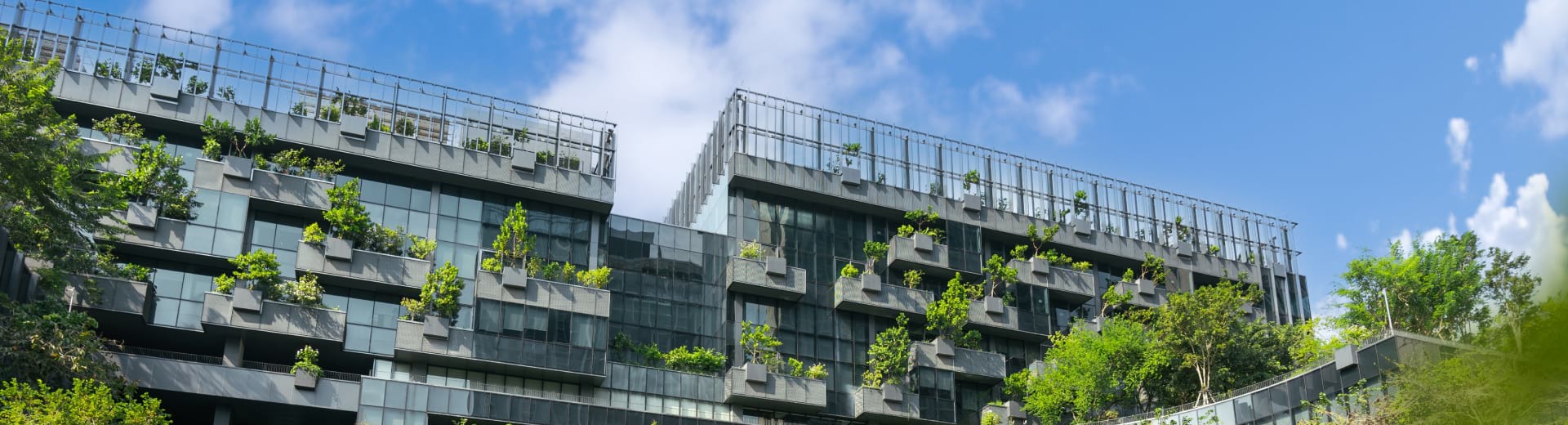 Climate Adaptation Using Nature Based Infrastructure Solutions Banner –