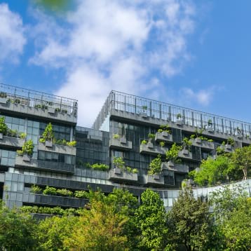 Climate Adaptation Using Nature Based Infrastructure Solutions Project –