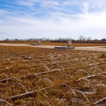 Constructed Wetlands For Wastewater Treatment Plant Resilience Project –