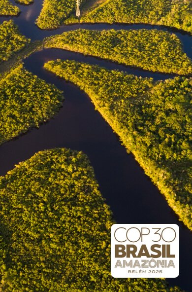 COP30 - DRI Pavilion Visitor Registration