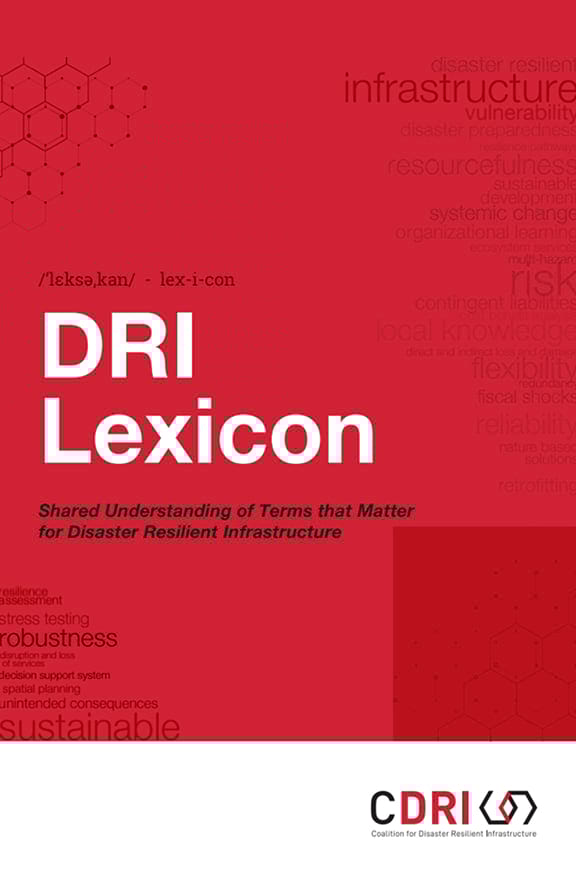 Dri Lexicon Mobile Banner –