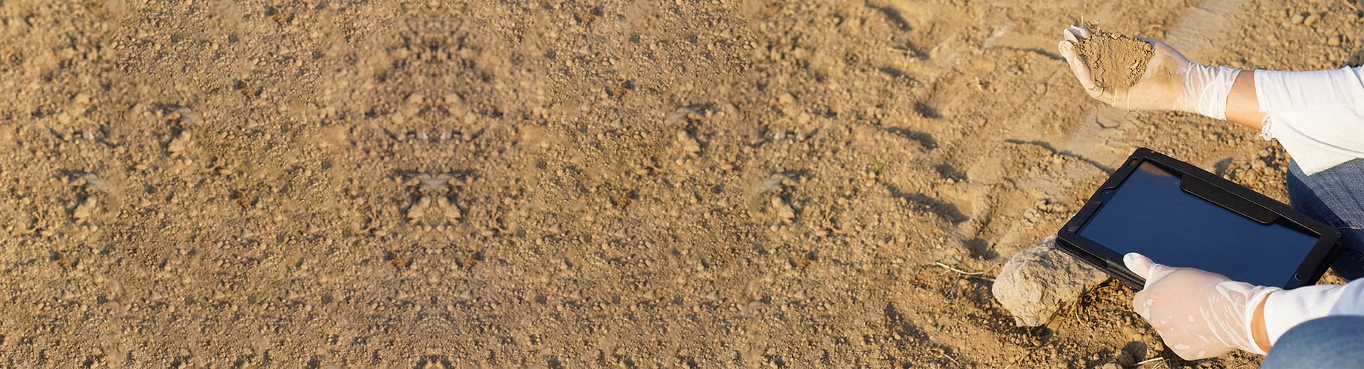 Drought Early Warning And Forecast Tool For Arid Regions Banner –