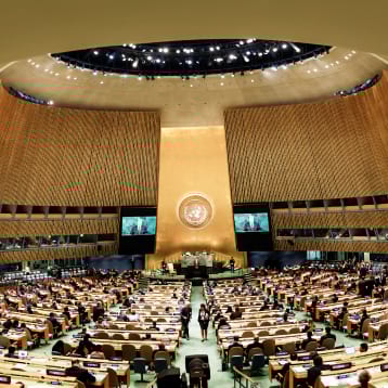 Engagement With Global And Regional Platforms To Advance The Agenda Of Dri Project –