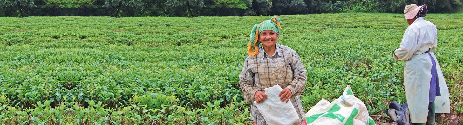 Ensuring A Sustainable And Climate Resilient Water Supply In The Northern Part Of Mauritius Banner –