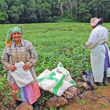 Ensuring A Sustainable And Climate Resilient Water Supply In The Northern Part Of Mauritius Project –