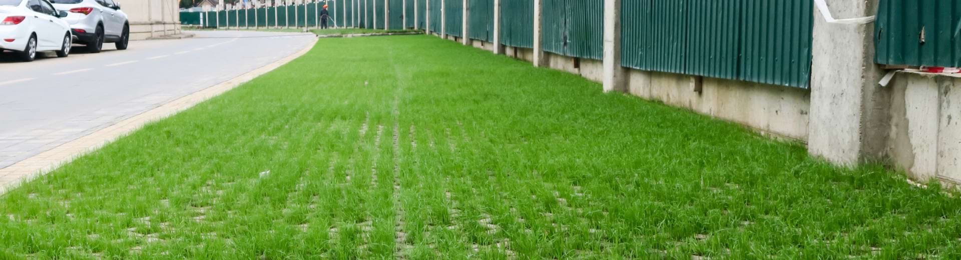 Evaluating Nature Based Solutions For Rainfall Runoff Reduction In Canada (1920X520) –