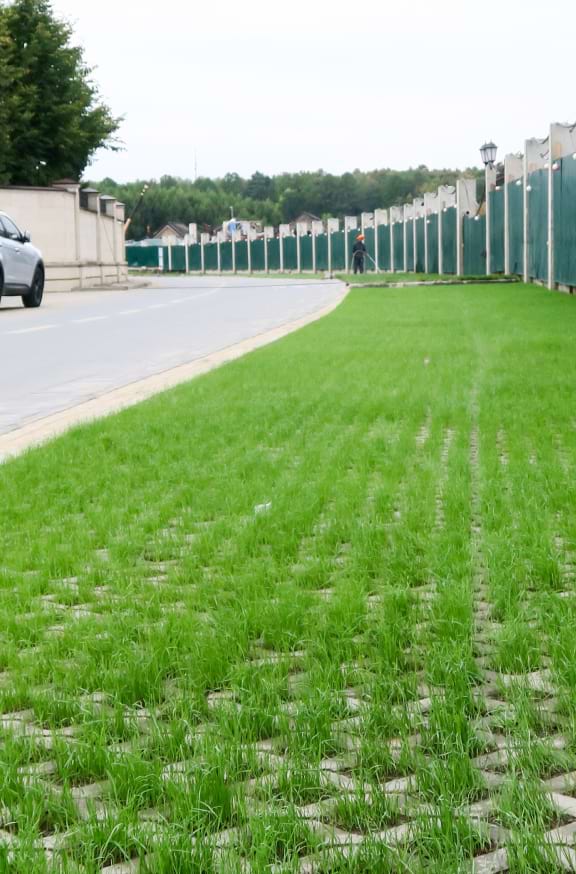 Evaluating Nature Based Solutions For Rainfall Runoff Reduction In Canada (576X874) –