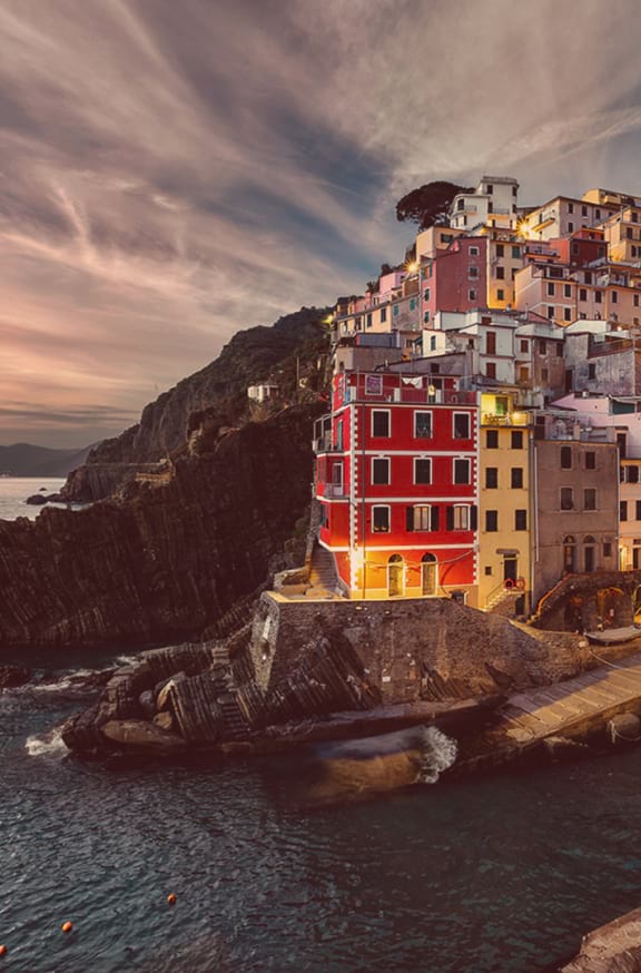 Iris Initiative (576X874) –