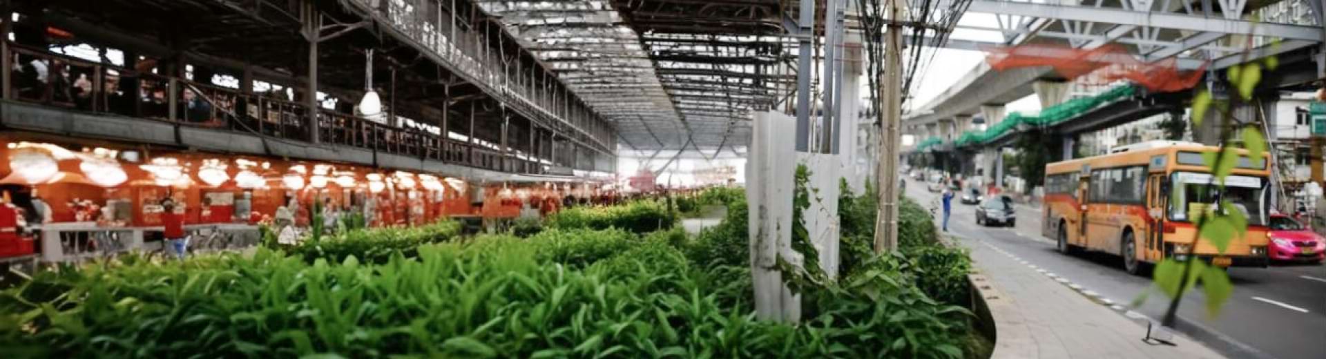 Mainstreaming Disaster Resilience Into The Nip Projects Banner –