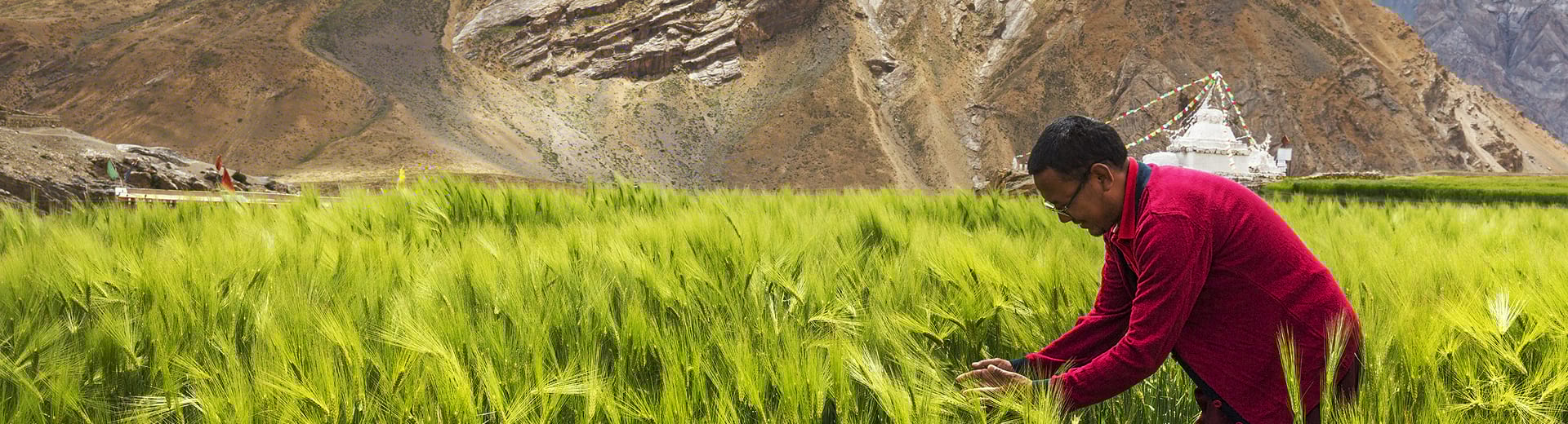 Modeling Impacts On Food Security From Debris Flows In India (1920×520) –