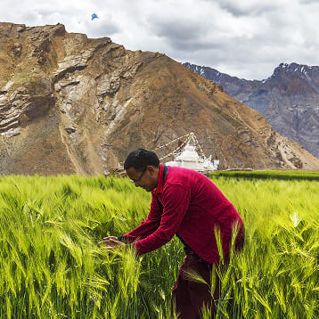 Modeling Impacts On Food Security From Debris Flows In India (358 358) –