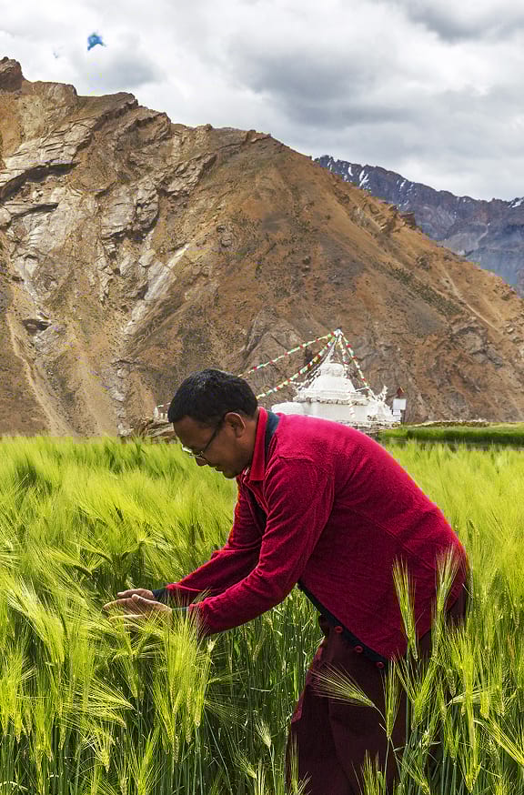 Modeling Impacts On Food Security From Debris Flows In India (576X874) –