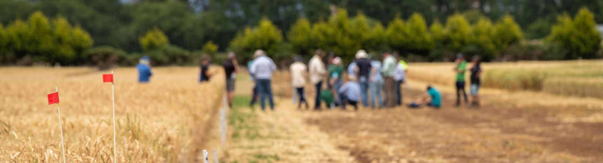 Monitoring Drought Plans Through Social Audit Framework In India – (1920×520) –