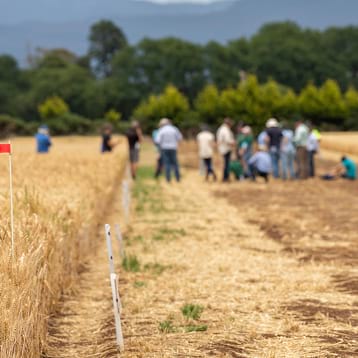 Monitoring Drought Plans Through Social Audit Framework In India – (358 358) –