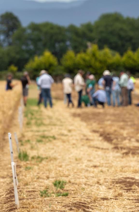 Monitoring Drought Plans Through Social Audit Framework In India – (576X874) –