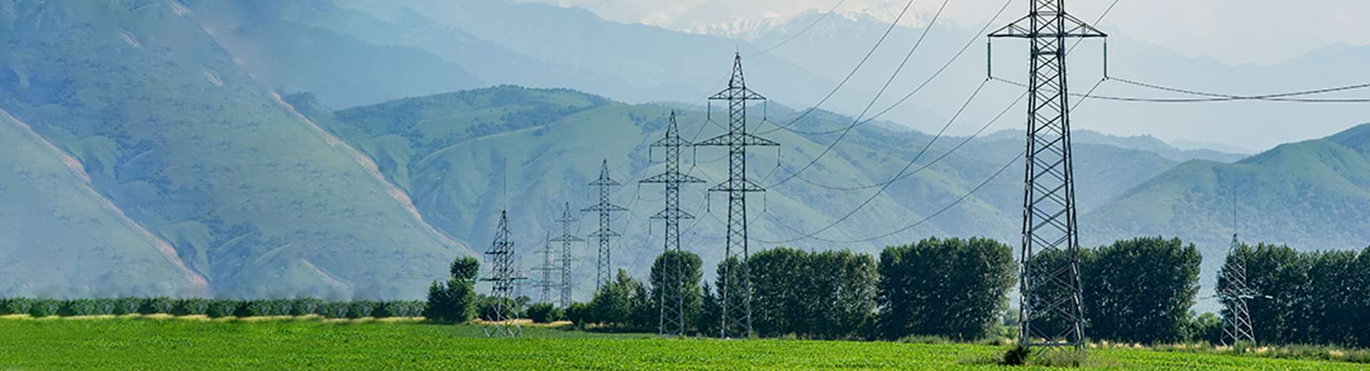 Mountain Initiative Banner –