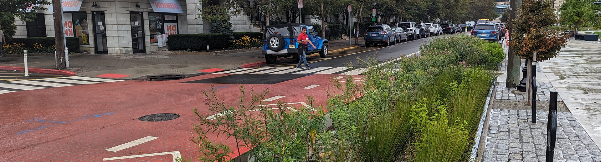 Nature Based Solutions For Unpaved Road Engineering In Brazil (1920X520) –