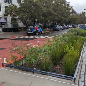 Nature Based Solutions For Unpaved Road Engineering In Brazil (358X358) –