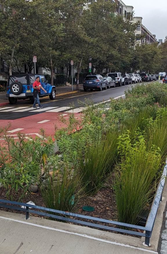 Nature Based Solutions For Unpaved Road Engineering In Brazil (576X874) –