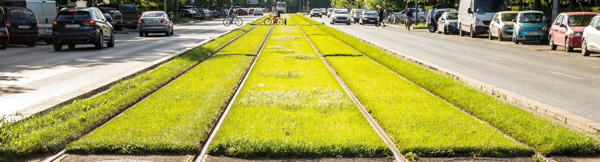 Reducing Disaster Fatalities Via District Amateur Radio Banner –