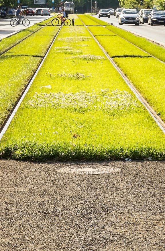 Reducing Disaster Fatalities Via District Amateur Radio Mobile –