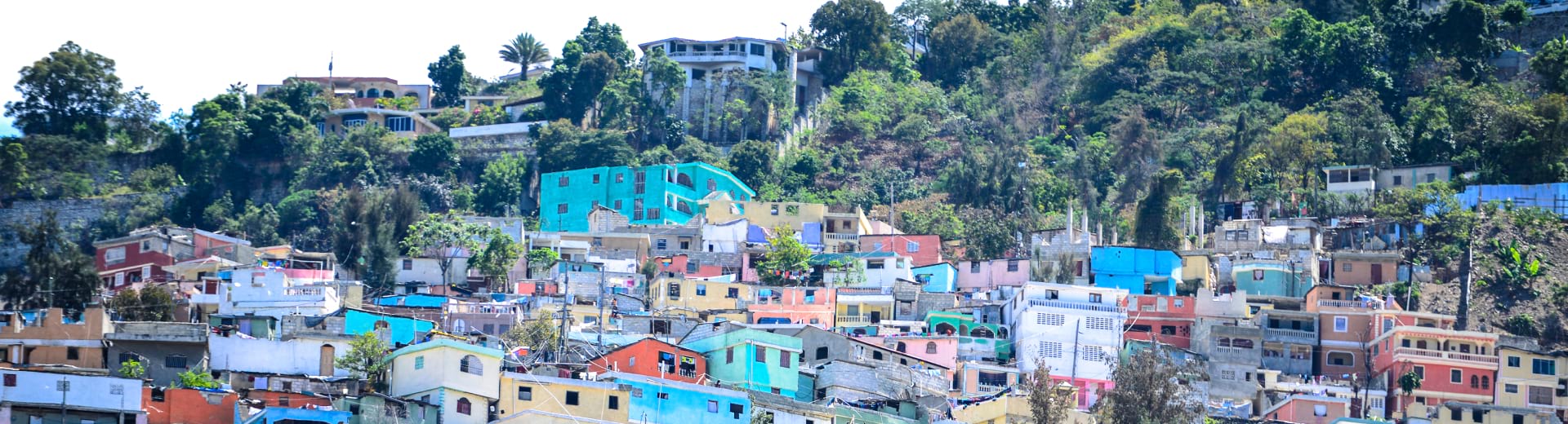 Revision Of The Haitian National Building Code Banner –