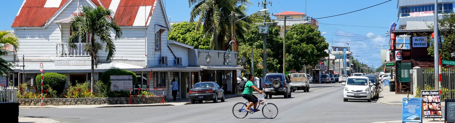 Roadmap For Infrastructure Resilience In Tonga Banner –