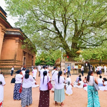 Safe And Resilient Water Supply For Western Cities In Sri Lanka Feature –