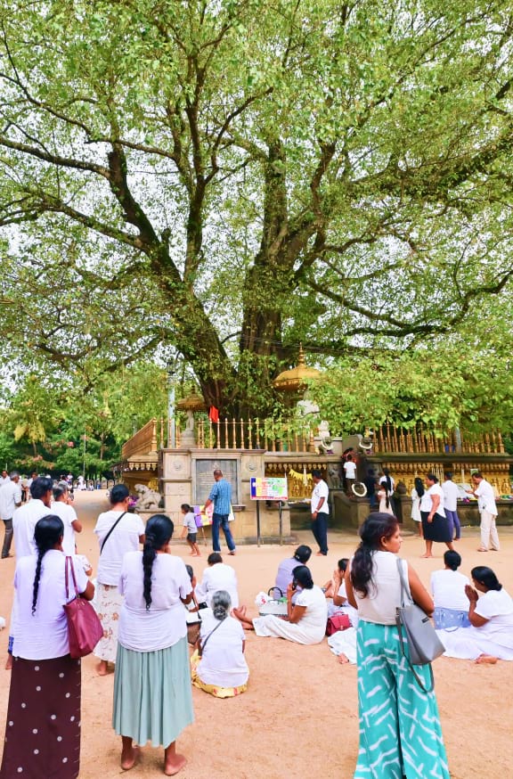 Safe And Resilient Water Supply For Western Cities In Sri Lanka Mobile –