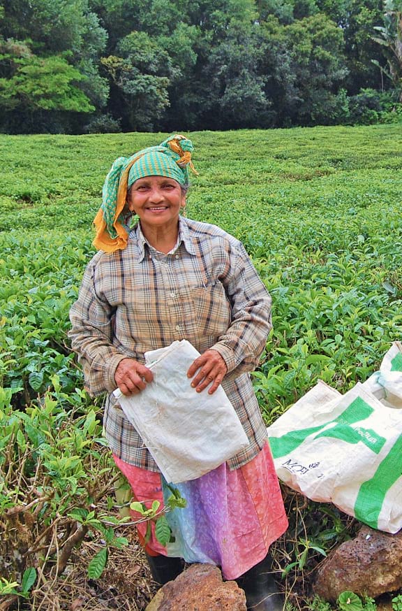 Sustainable, Climate Resilient Water Supply In Northern Mauritius –