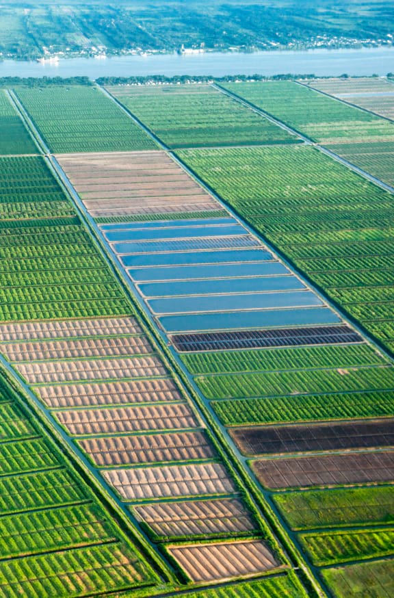 Sustainable Integrated National Drainage And Irrigation Systems In Guyana –